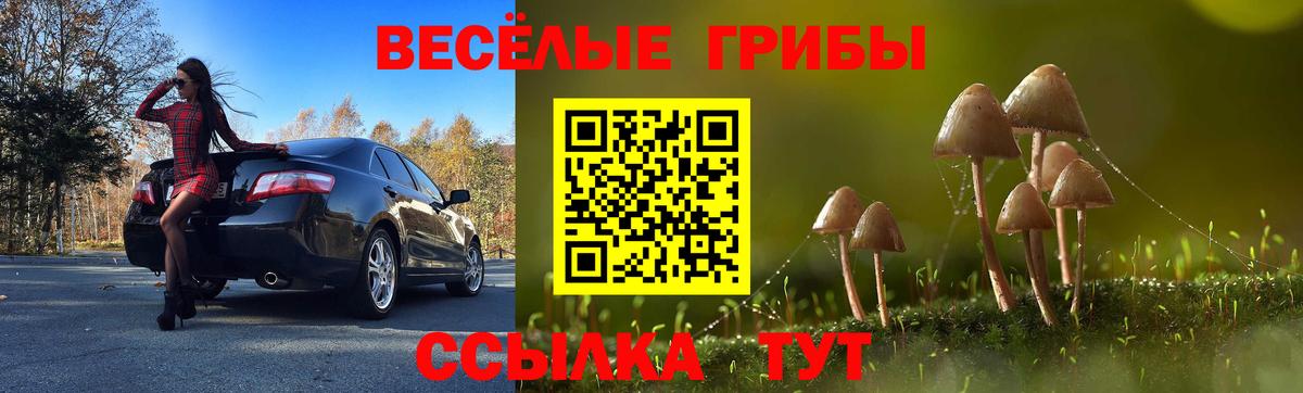 Псилоцибиновые грибы мухоморы  магазин продажи наркотиков  Новоуральск  Галлюциногенные грибы MAGIC MUSHROOMS 